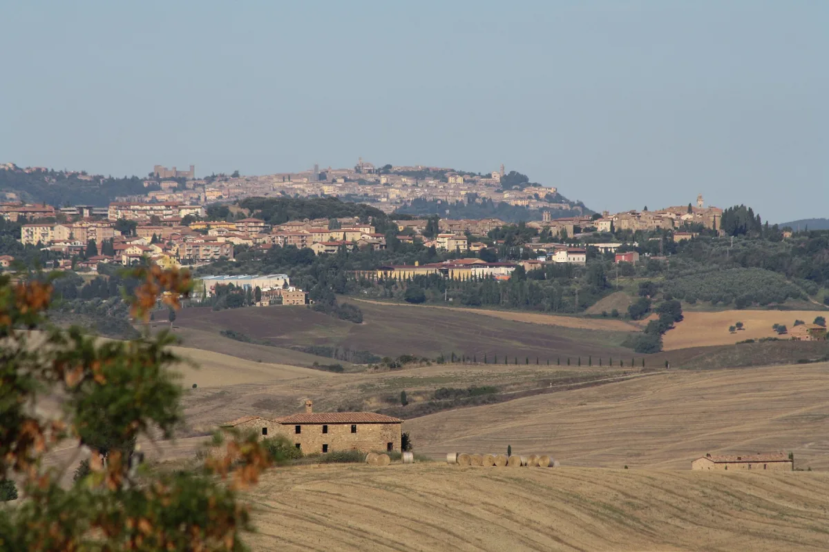 68^ Sagra del Tordo Montalcino 2026: date, programma e consigli