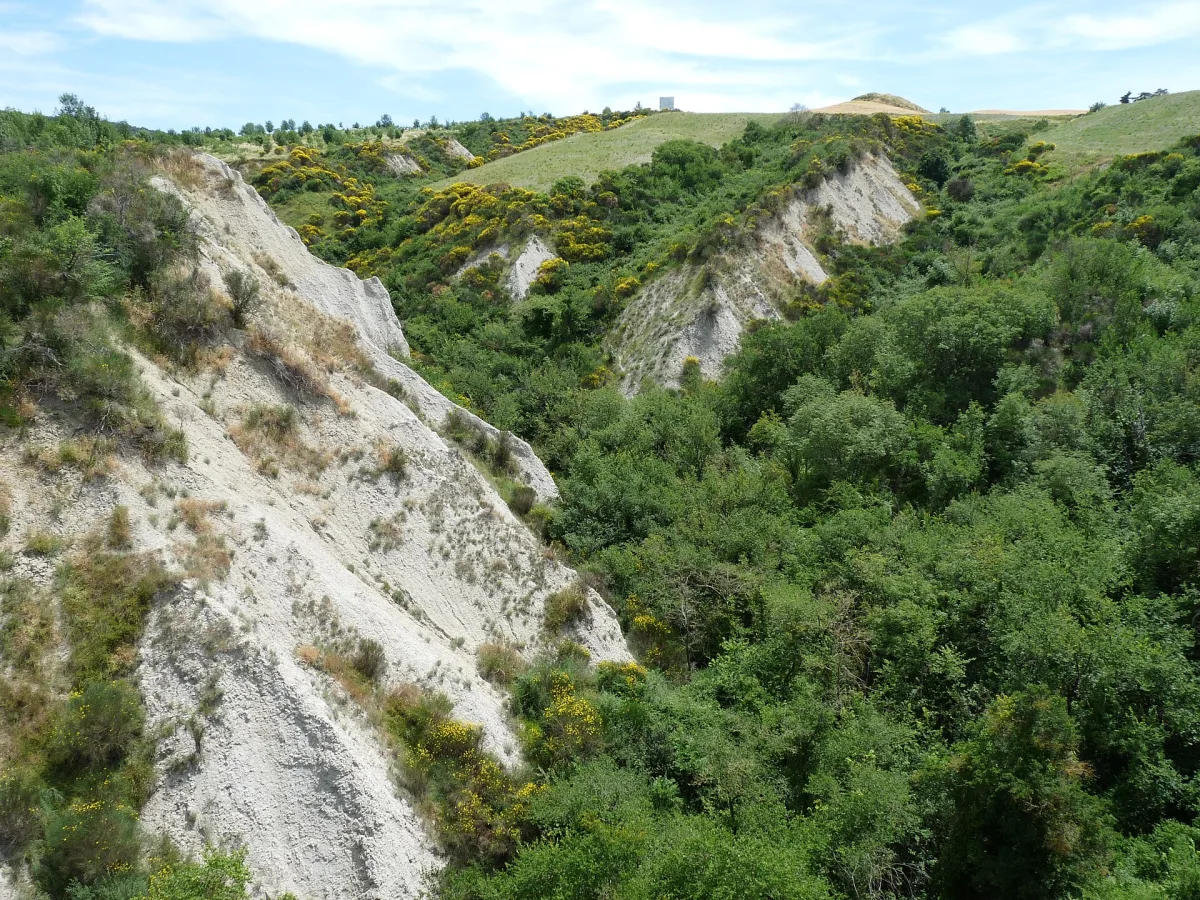 Capodanno 2027 a Montalcino: ristoranti, dove mangiare, eventi