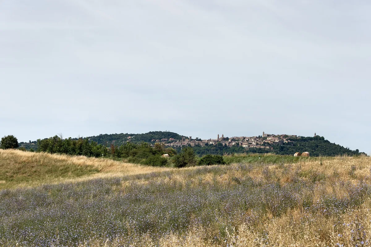Montalcino slow: agriturismi, cammini e relax tra vigneti e boschi