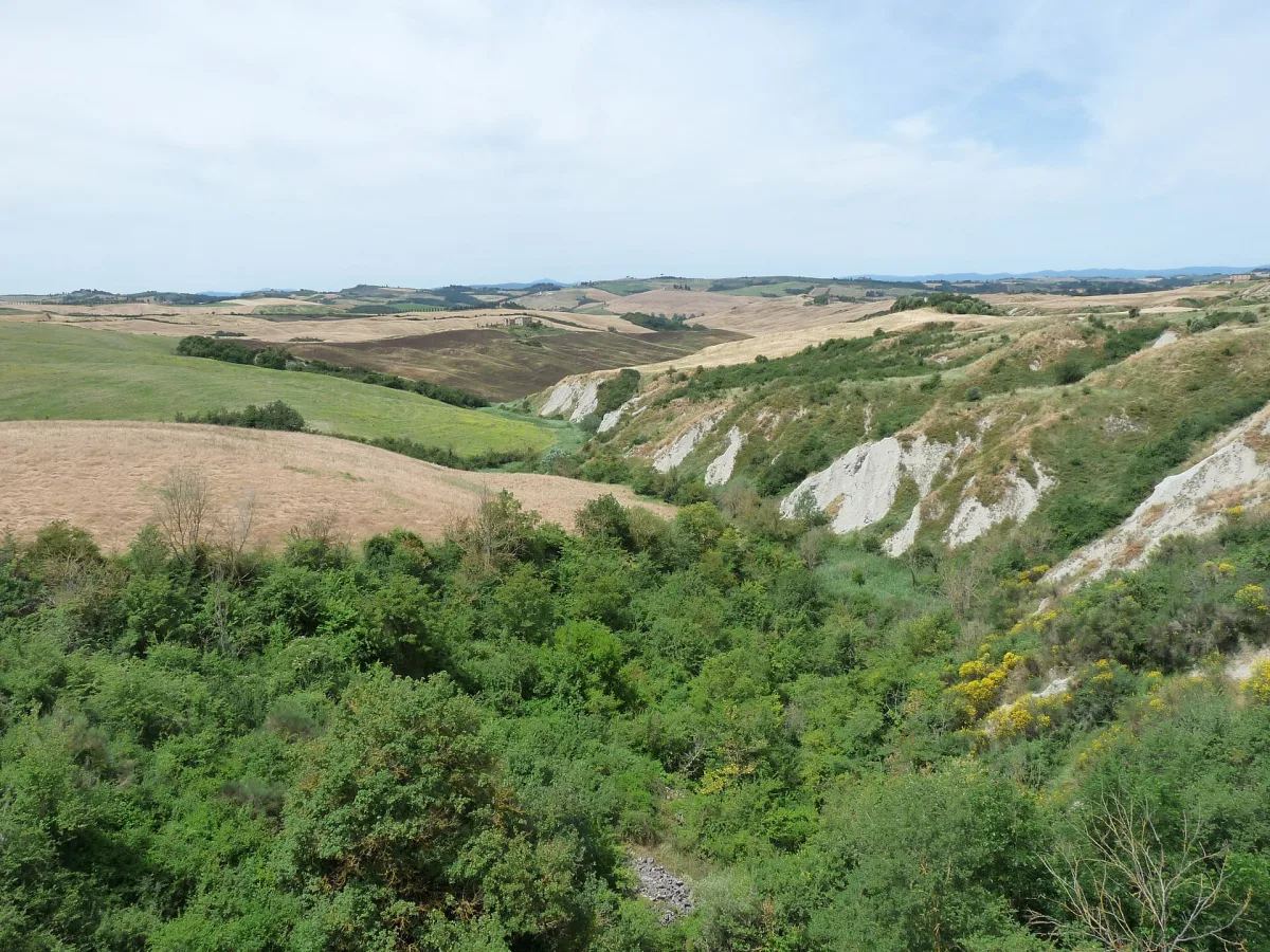 Sagra del Tordo 2026 Montalcino 2026: date e programma