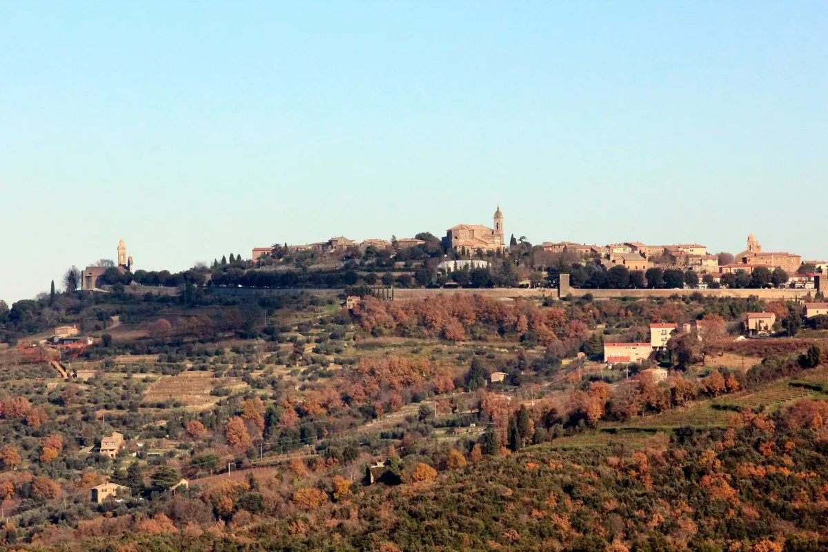 Visita alle cantine del Brunello di Montalcino: guida alle migliori esperienze