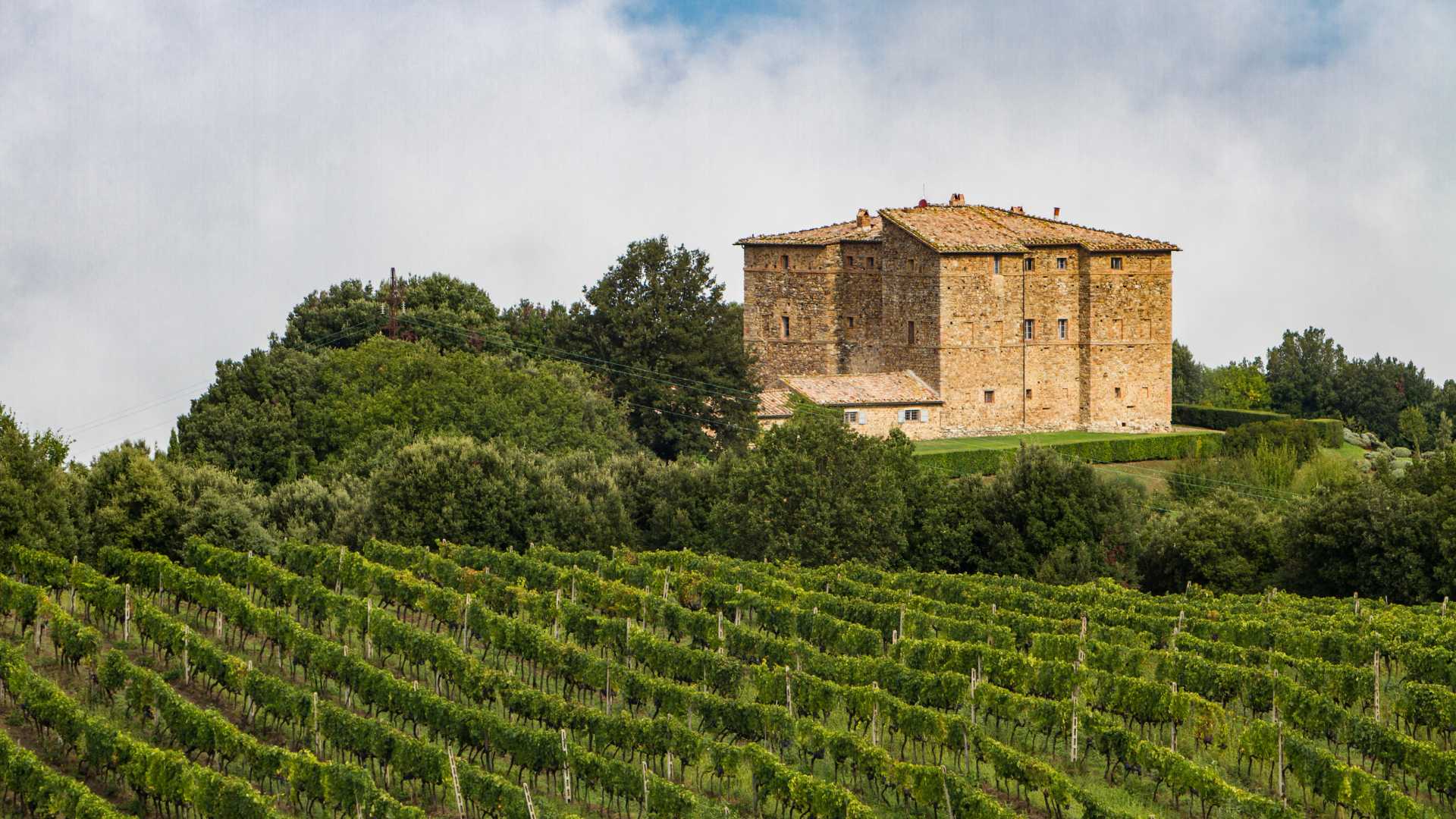 Cosa vedere a Montalcino in un giorno: itinerario a piedi tra storia e panorami